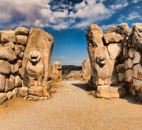 Lion Gate - Turkey