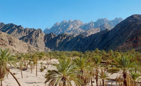 Wadi Feiran - In the Steps of Moses - EGYPT